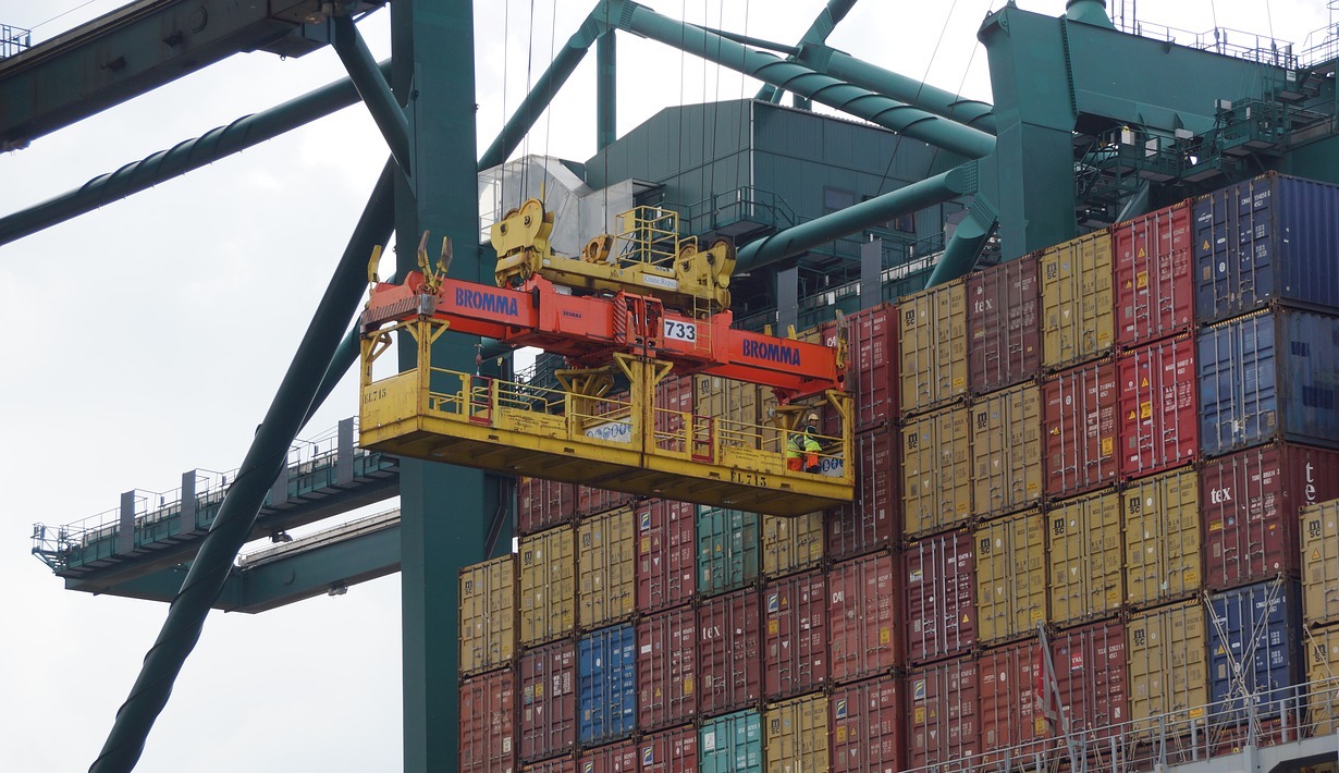 Ocean Freight Seal Freight Forwarders